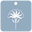 carolinatoledo logo